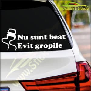 Stickere Far - Stickere Parasolare - stickere auto - Parasolare auto - Camuflaje auto - Stickere Parbriz- stickere vanatoare -pescuit - off road - firme - grafica publicitara - camuflaje - brelocuri - stickere printate - auto - moto- Bannere- design Logo- Carti de vizita- odorizante personalizate - Bannere publicitare premium -