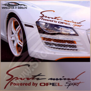 Stickere Far - Stickere Parasolare - stickere auto - Parasolare auto - Camuflaje auto - Stickere Parbriz- stickere vanatoare -pescuit - off road - firme - grafica publicitara - camuflaje - brelocuri - stickere printate - auto - moto- Bannere- design Logo- Carti de vizita- odorizante personalizate - Bannere publicitare premium -